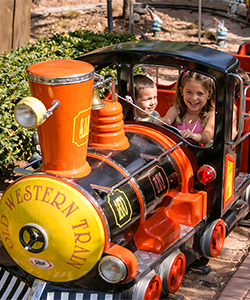 old-western-train